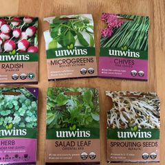 Seeds