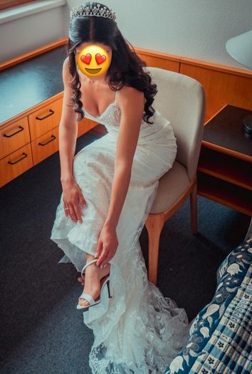 Wedding Dress + Underskirt + Veil