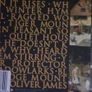 Fleet Foxes - Fleet Foxes CD Image 2