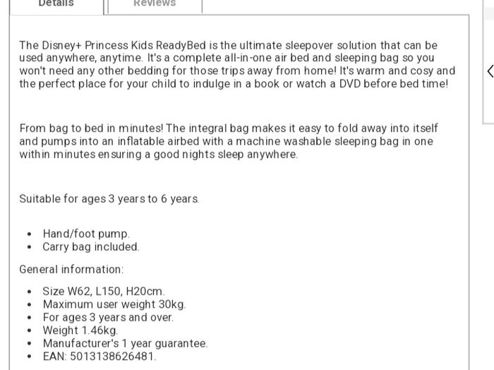 Girls Disney Inflatable Mattress