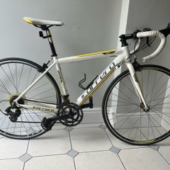 Carrera Road Bike