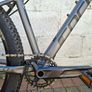 Carrera Sulcata 3.1 Image 5