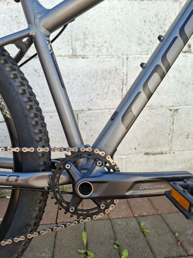 Carrera Sulcata 3.1