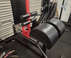 Glute Ham Developer