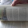War Horse by Michael Morpurgo Image 5