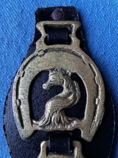 Vintage horse brasses on leather strap