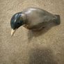 Bird figurine Image 6