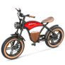HIDOES B10 Electric Bike Image 2