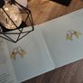 Angelina Ballerina ! 5 Books ! by Katharine Holabird ! Illustrated by Helen Craig ! by Puffin Books ! Image 10