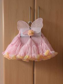 BNWT tutu and wings