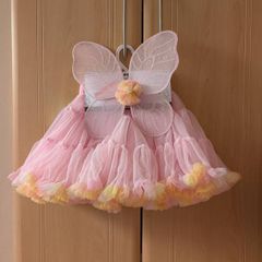 BNWT tutu and wings
