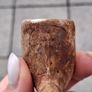 Vintage clay pipe Image 6