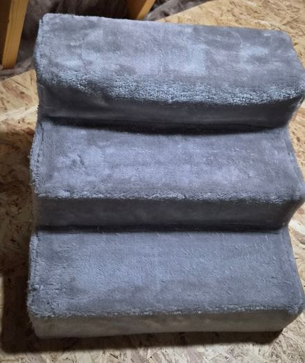Cat Steps