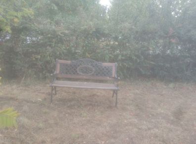 Bench