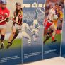 Ireland 2009 Beautiful Uncirculated Euro Coin Set GAA 125 Years Image 7