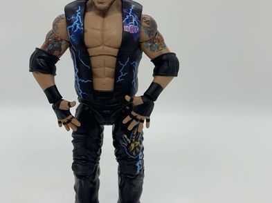 Wwe Elite Legends Series 10 Ddp Diamond Dallas Page Action Figure For ...