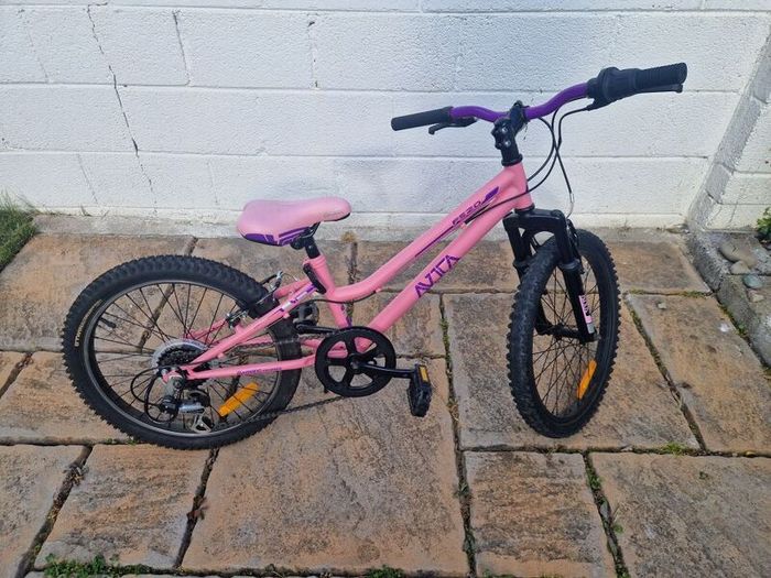 Avoca Mountain Bike 20 inch