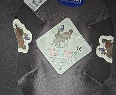 champion riding hat