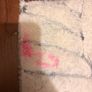 rug Image 4