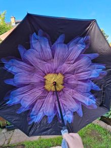 Reversal umbrella