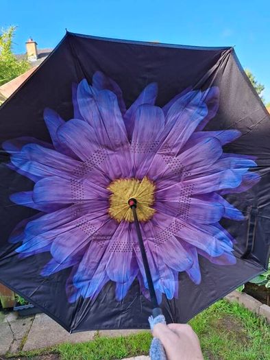 Reversal umbrella