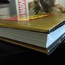 Marvel Masterworks: Golden Age Young Allies ! Volume 1 ! Beautiful Hardback ! by Marvel ! Image 7