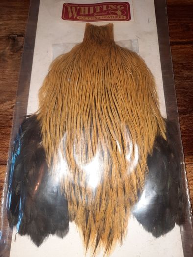 Whiting bramha rooster capes