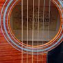 Freshman Acoustic Guitar And Case Image 3