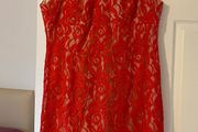 Lined lace Wallis Dress size 18