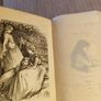 Rare Find 1876 Sybil's Book by Lady Barker. Antique. Literature. Image 4