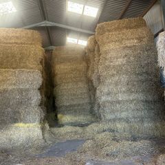 Straw and hay