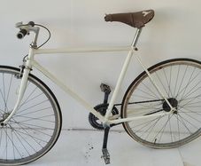 Raleigh Road Bike