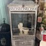 Display Cabinet Image 2