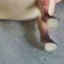 SET of 2 PONY Plastic Figure Toys. Image 8