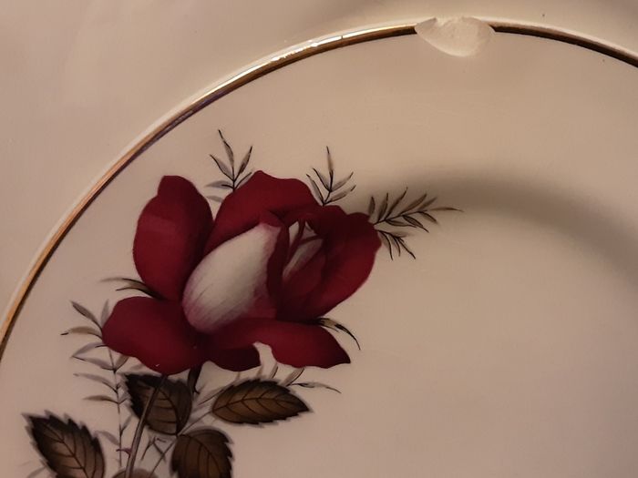 Autum rose Arklow Pottery tea set 6 setting