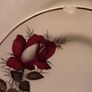 Autum rose Arklow Pottery tea set 6 setting Image 4