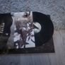 Terria Devin Townsend double vinyl Image 5