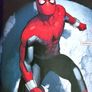The Amazing Spider-Man 9 Issue LGY 973 2025 Marvel Comics Mary Jane Watson Variant Edition Image 5
