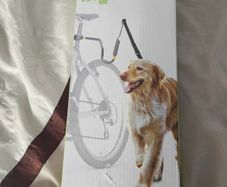 Bike dog lead