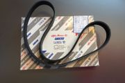 Auxiliary Belt (Fiat Ducato Camper)