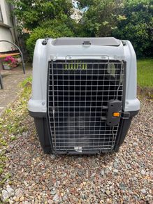 dog travel Crate