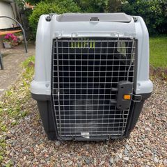 dog travel Crate