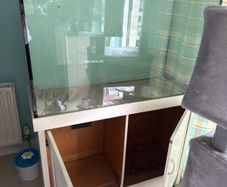 free large fish tank