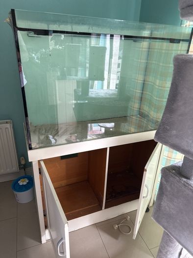 free large fish tank