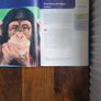 Psychology book (Great for Psychology students) Image 3