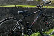 Bikes