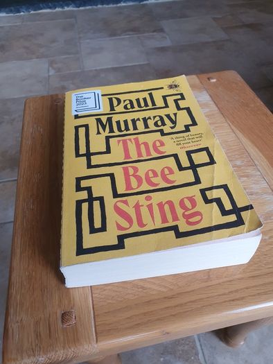 The Bee Sting by Paul Murray (shortlisted for Booker Prize 2023).