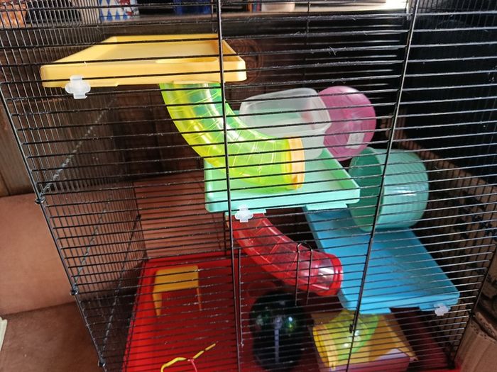 Hamster cage