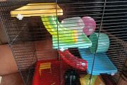 Hamster cage
