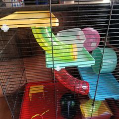 Hamster cage